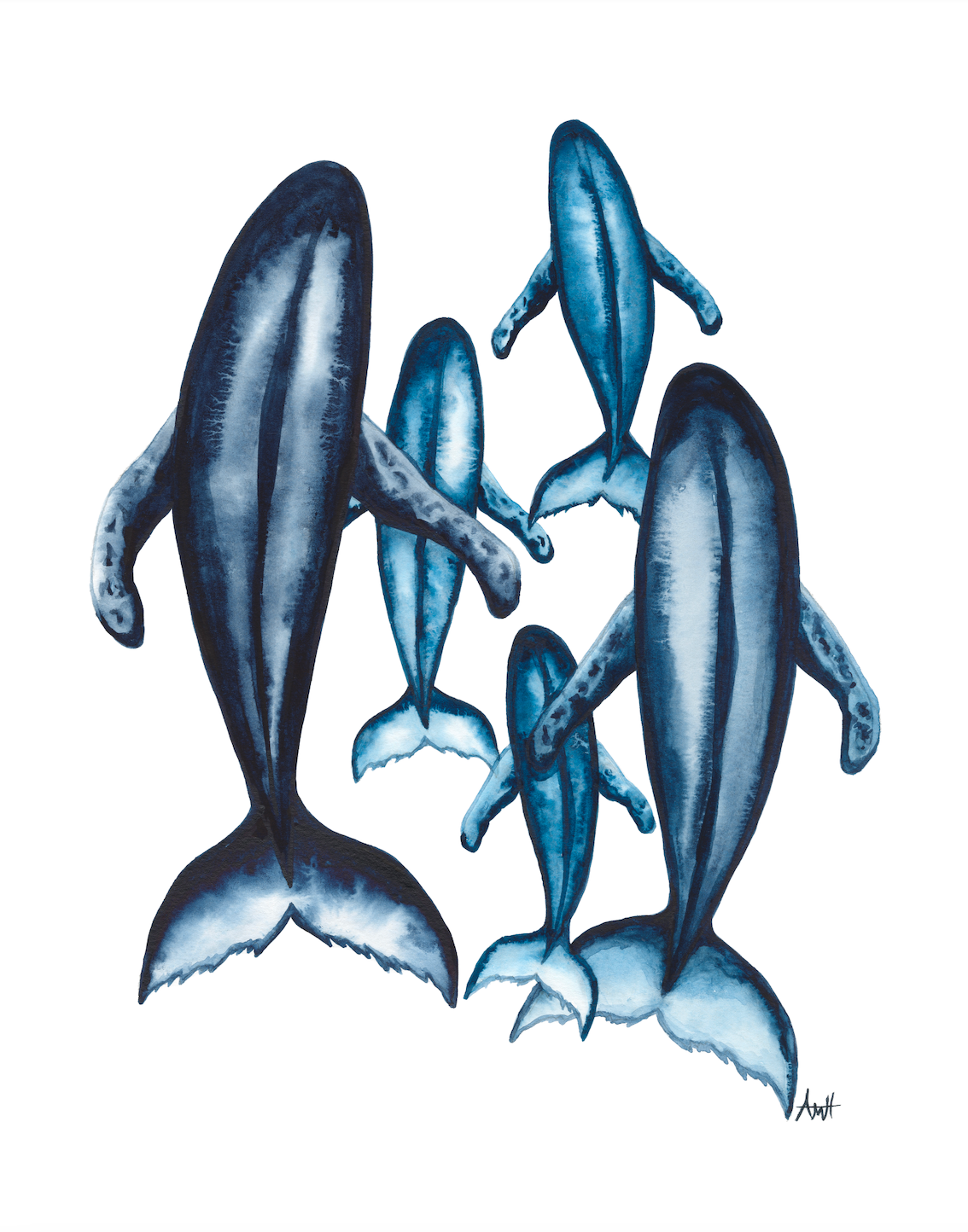 "Pod of Five" Watercolour 5 Whale Pod Fine Art Print
