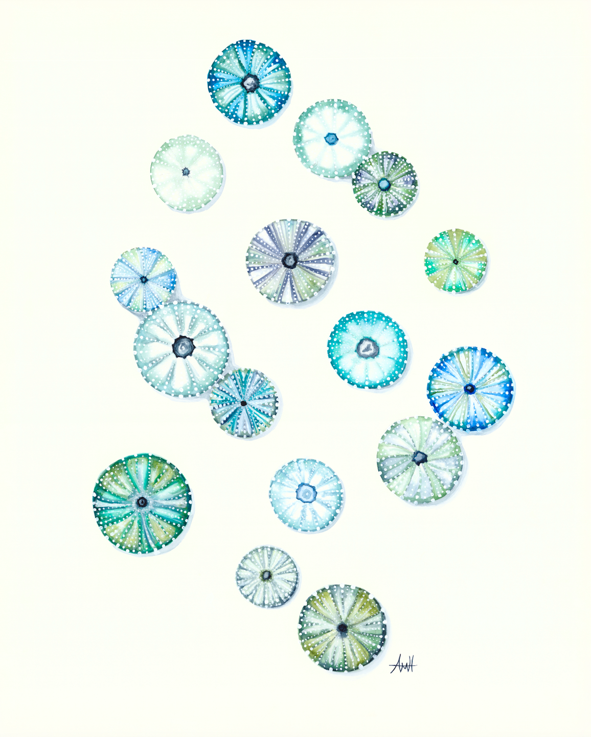 "Sea Urchin Energy" Newfoundland Watercolour Fine Art Print