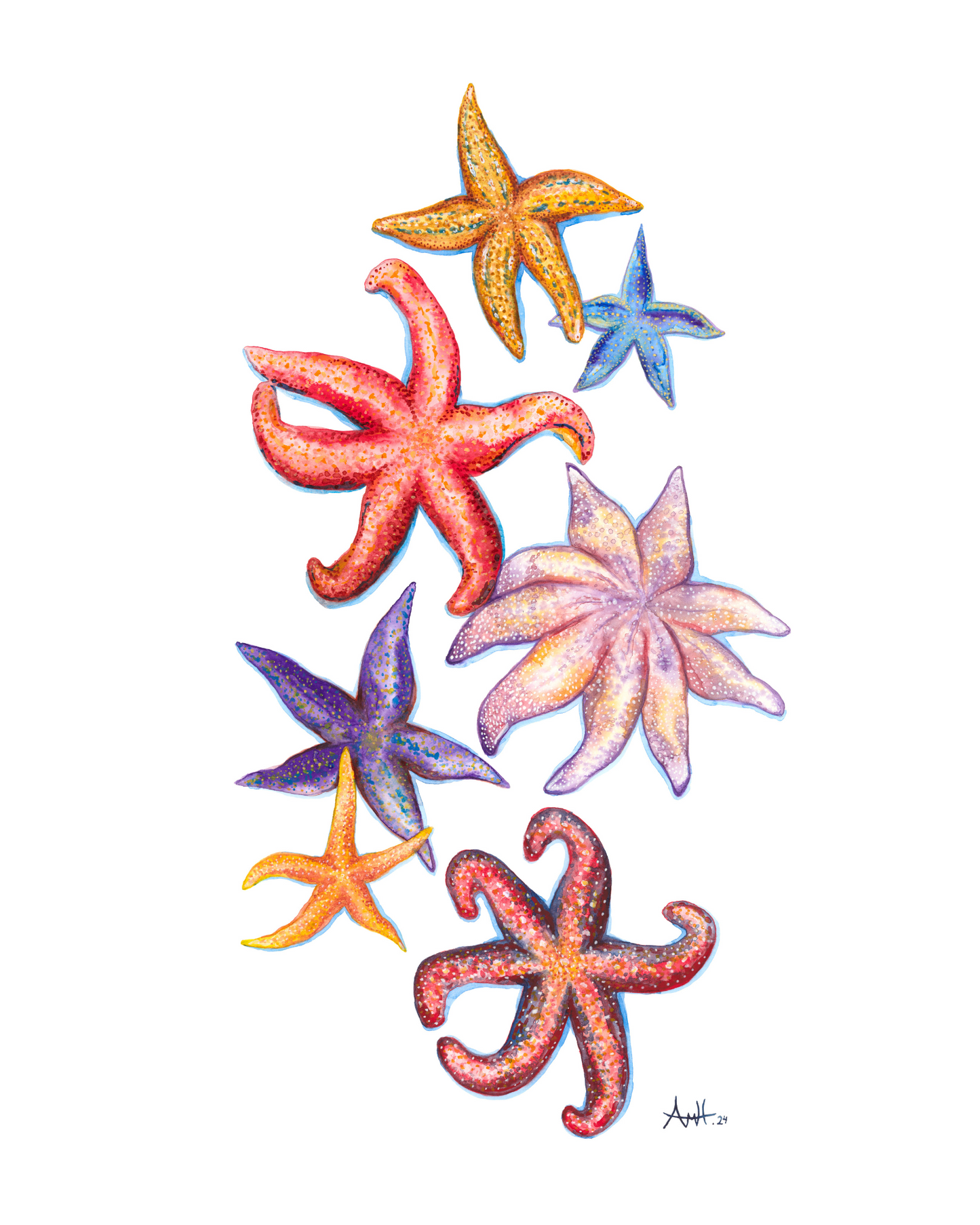 "Starfish Point" Watercolour Fine Art Print