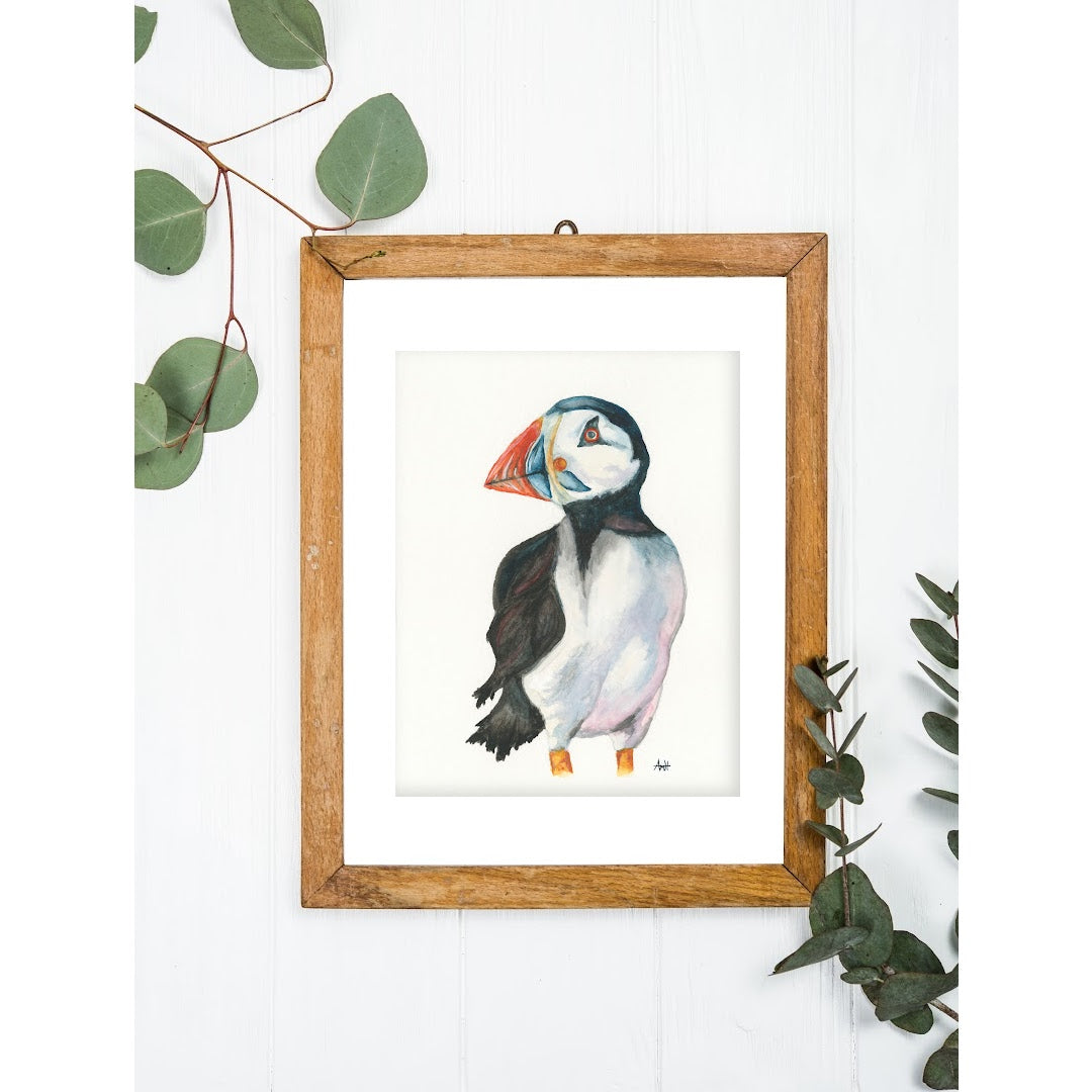 "Handsome Puffin" Atlantic Newfoundland Puffin Watercolour Fine Art Print