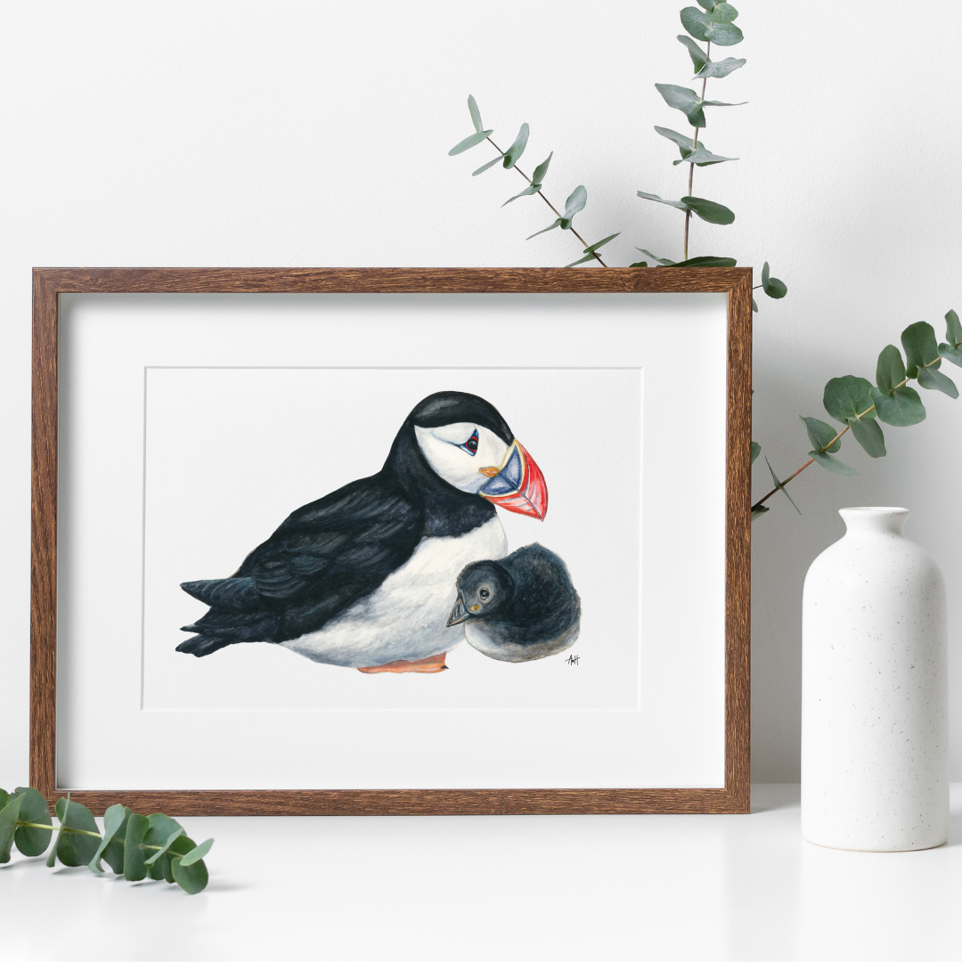 "Puffling Love" Atlantic Newfoundland Puffin and Puffling Watercolour Fine Art Print