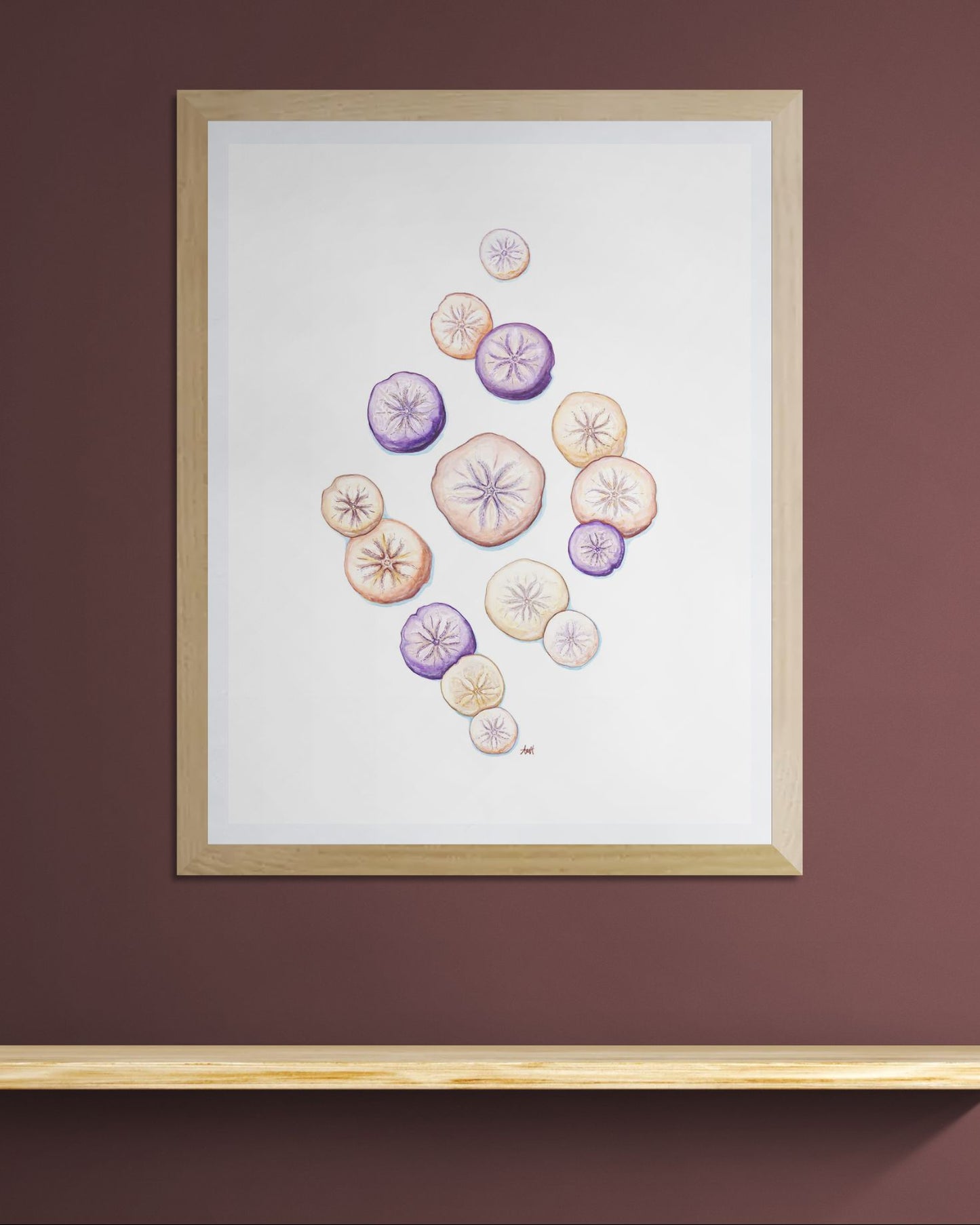 "Sand Cake Coast" Newfoundland Sand Dollar Watercolour Fine Art Print