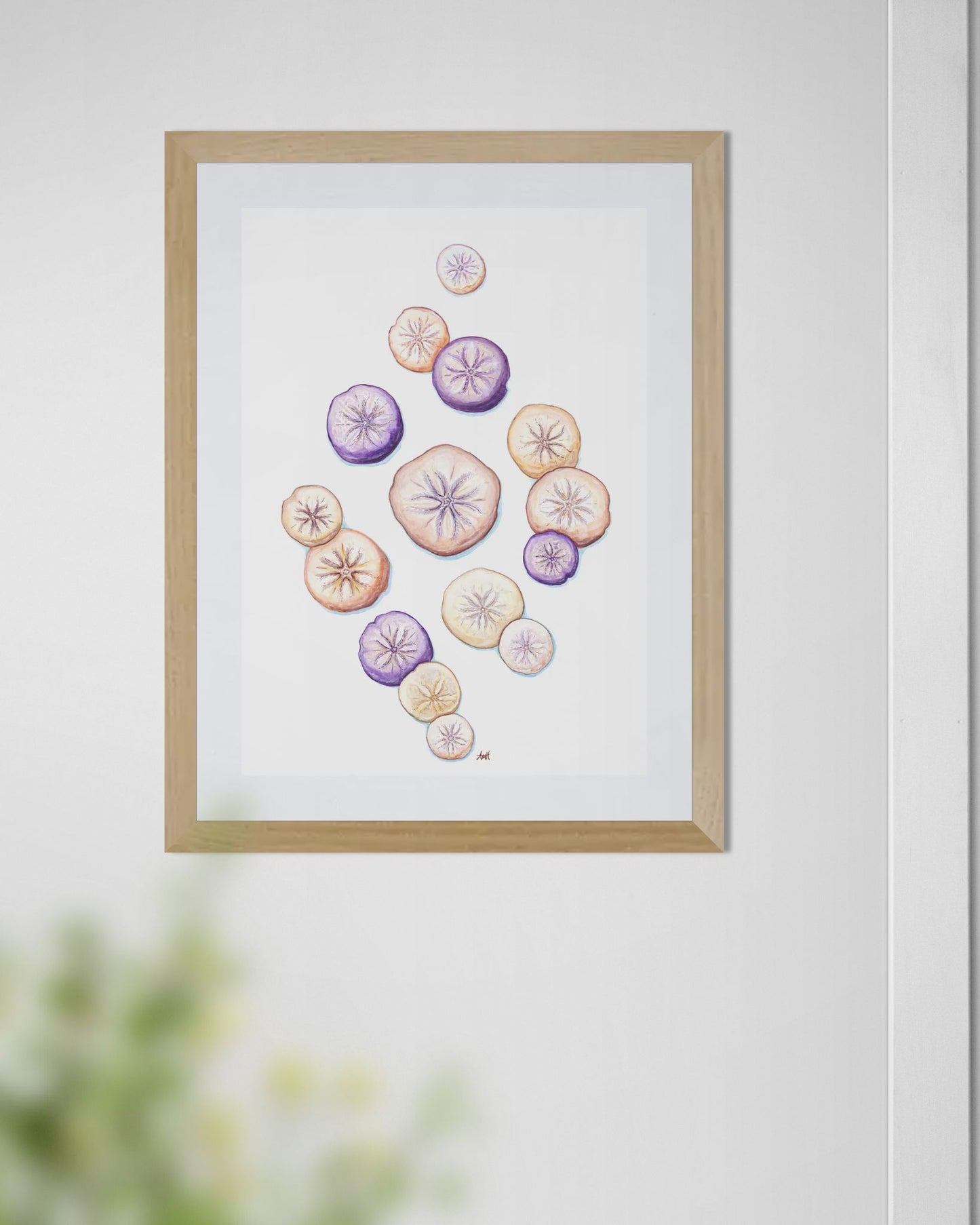 "Sand Cake Coast" Newfoundland Sand Dollar Watercolour Fine Art Print