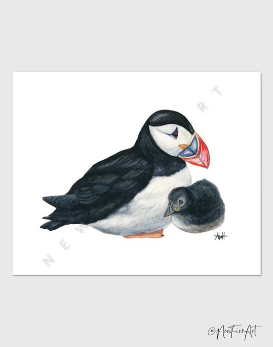 "Puffling Love" Atlantic Newfoundland Puffin and Puffling Watercolour Fine Art Print