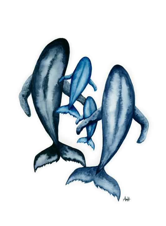 "All Whales Together"  Watercolour Four Whale Pod Family - Fine Art Print